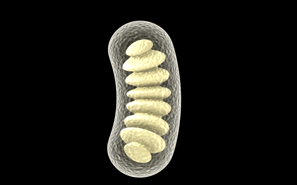 CohBar Files 29 Patent Applications Related to Peptide Discoveries in Mitochondrial Genome