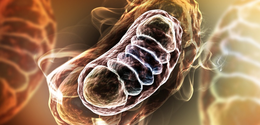 Scientists May Have Found New Mechanism Behind Mitochondrial Disease Development