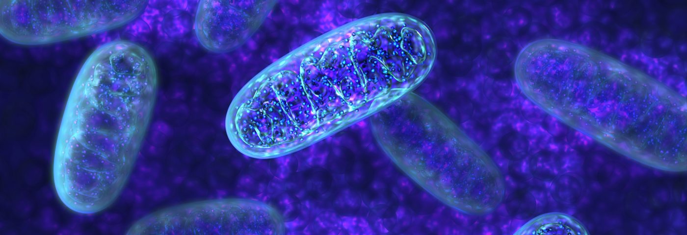 Study into Mitochondrial Replacement Therapy Appears to ...