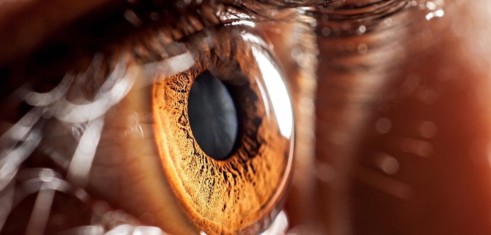 Protein Linked to Mitochondrial Dysfunction Speeds Up Age-related Eye Disorders in Mice