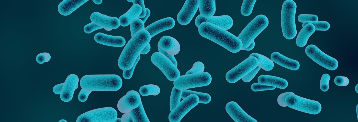 Mitochondrial Changes Help Immune Cells React to Bacteria