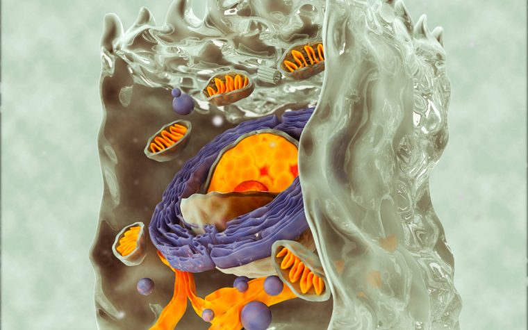 New tools developed could allow deeper look at disease development in nanodomains.
