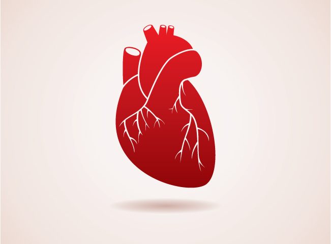 Phase 2 Trial on Therapy for Hospitalized Patients with Congestive Heart Failure Begun