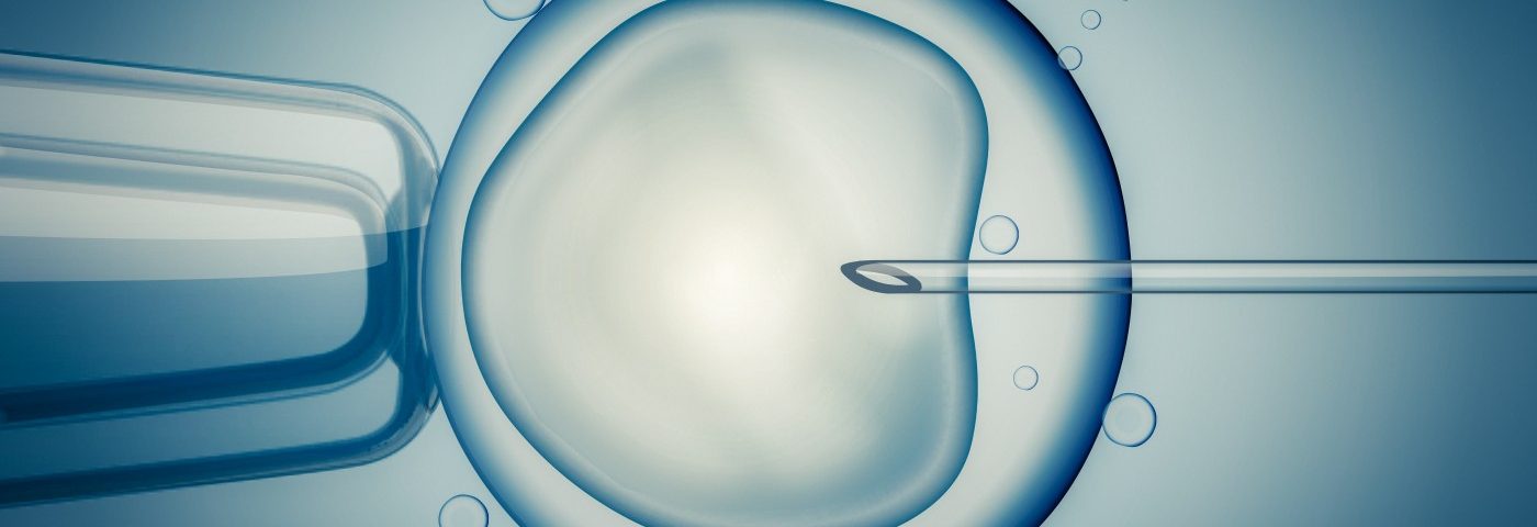 Likely Approval of Mitochondrial Replacement Will Open Door for First Three-Parent Baby in UK