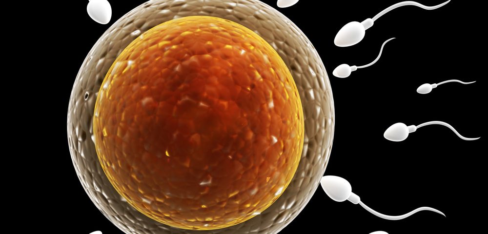 New Technique of Generating Egg Cells in Lab Could Help Prevent Mitochondrial Disease in Future