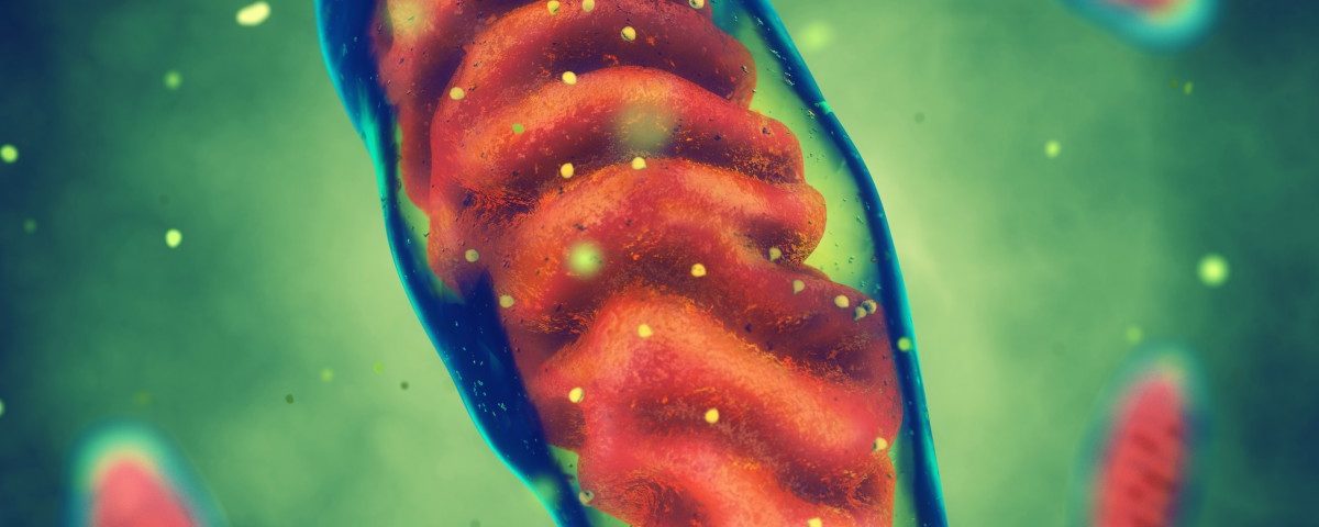 Higher Than Normal Mitochondrial DNA Movement May Play Role in Colorectal Cancer