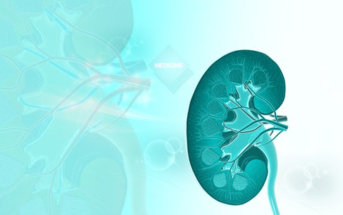 Researchers Review Link Between Renal Disease and Mitochondrial Disorders
