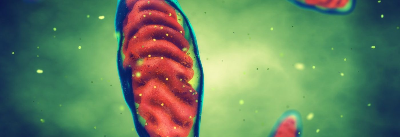 Mutation in Nuclear Gene Associated with Symptoms of Mitochondrial Disease, Case Report Shows