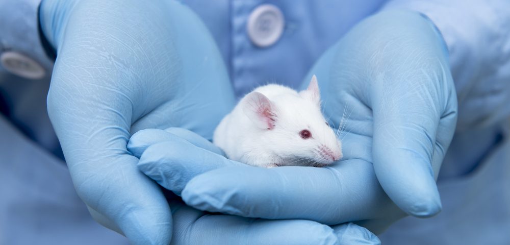 Mutations in Mitochondrial Gene ANT1 Linked to Risk of Bipolar Disease in Mouse Study